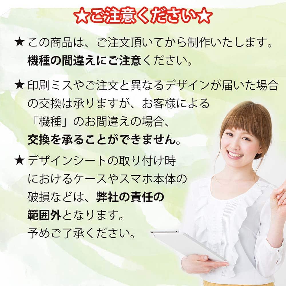 iPhone17e/iPhone17 森 全機種対応☆【インナーシート/デザインシート】 北欧デザイン ノルウェーの夜明 | 11枚目