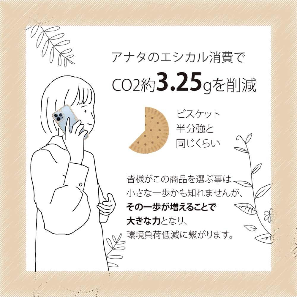 iPhone16/iPhone16e 花柄 コンポスケース 日本の花画風 イエロー | 15枚目